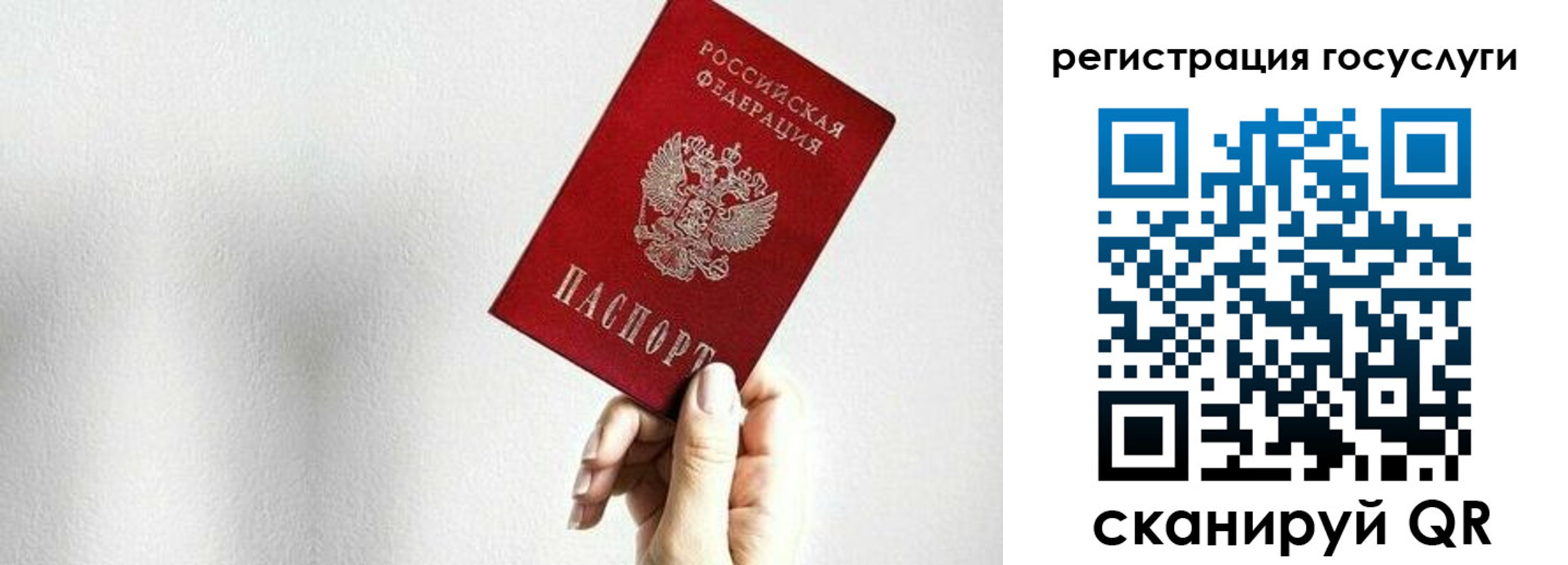 прописка гарантия в Елабуге